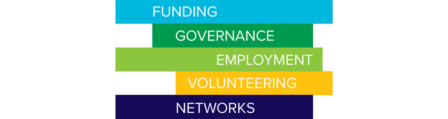 infographic representingwhat ncva does: funding, governance, employment, volunteering, networks