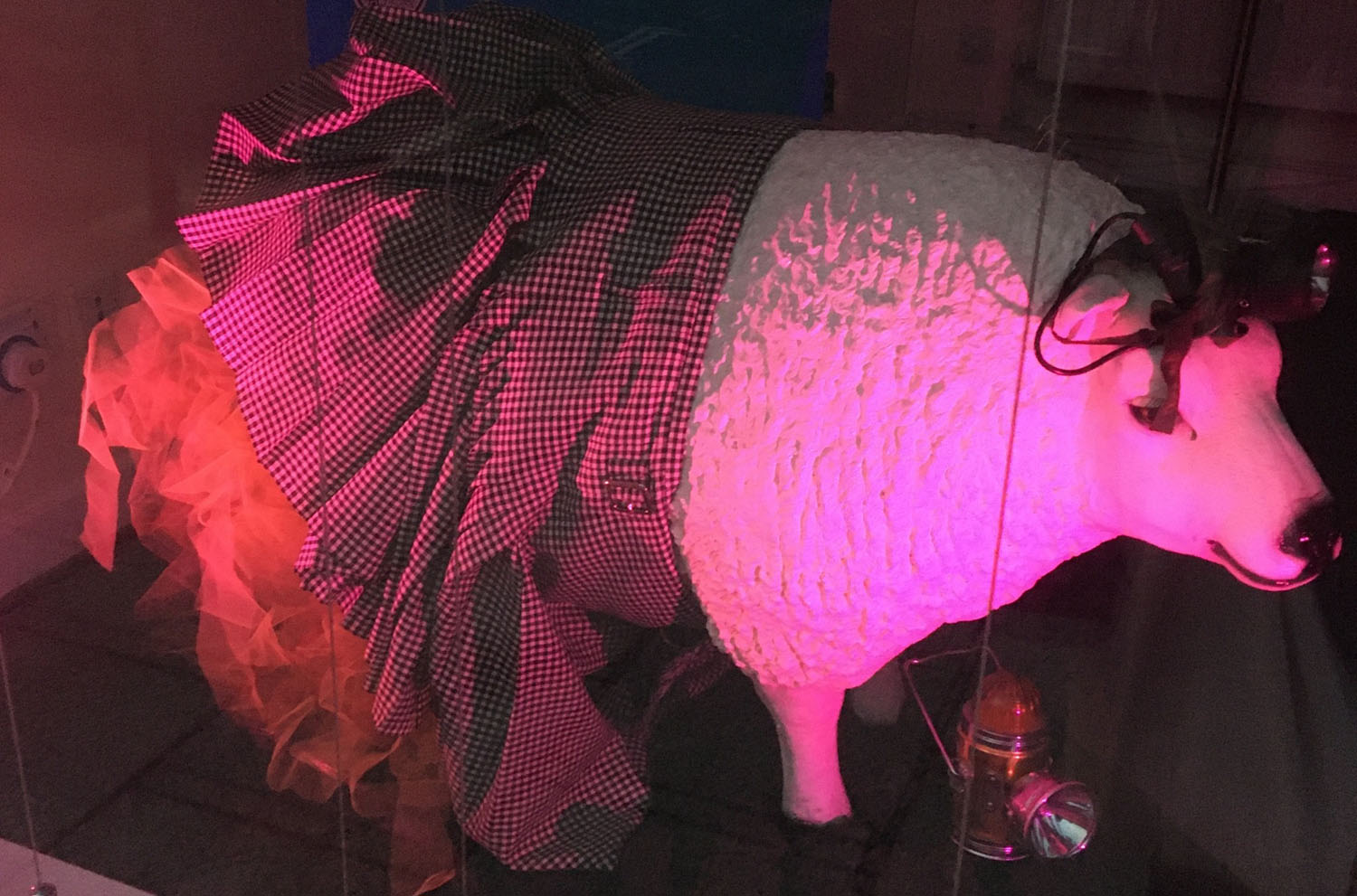 NCVA Hosts Northumberland Illuminated Sheep Art Trail